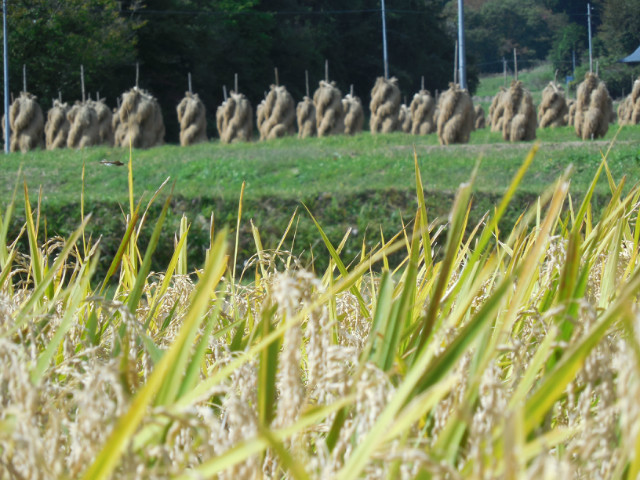 平泉　小安峡